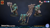 Veteran Orcs