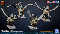 Sorcier sur Griffon