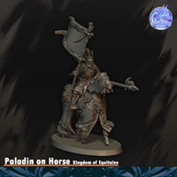 Paladin du Graal