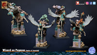 Sorcier sur Pégase