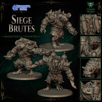 Brutes de Sièges