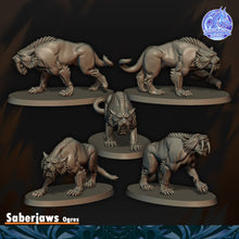Load image into Gallery viewer, Crocs de Sabres
