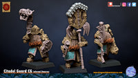 Gardes Citadelles infernales