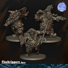 Load image into Gallery viewer, Etripeurs Ogres
