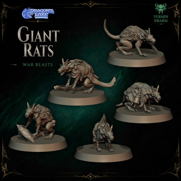 Rats Géants