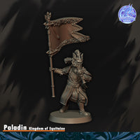 Paladin du Graal