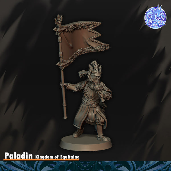 Paladin du Graal