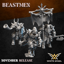 Charger l'image dans la galerie, Guerriers Hommes Bêtes Lourds
