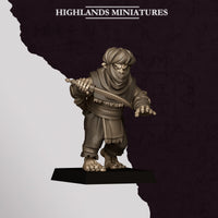 Assassins Hobgoblins
