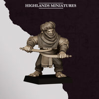 Assassins Hobgoblins