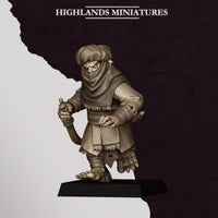 Assassins Hobgoblins