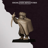 Assassins Hobgoblins