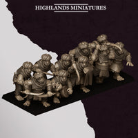 Assassins Hobgoblins