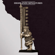 Load image into Gallery viewer, Guerriers Hobgoblins
