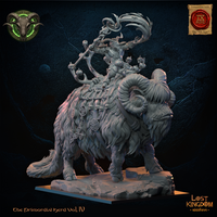 Shaman homme bête sur Bantha