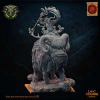 Shaman homme bête sur Bantha