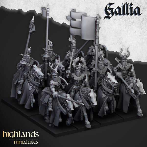 Chevaliers du Roy de Gallia
