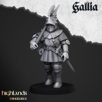 Chevaliers à pieds de Gallia