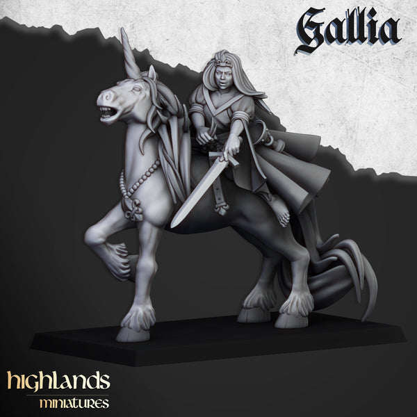 Lady de Gallia