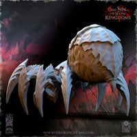 Araignée Géante