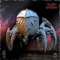 Araignée Géante