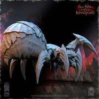 Araignée Géante