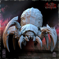 Araignée Géante