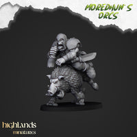 Orcs sur Sangliers