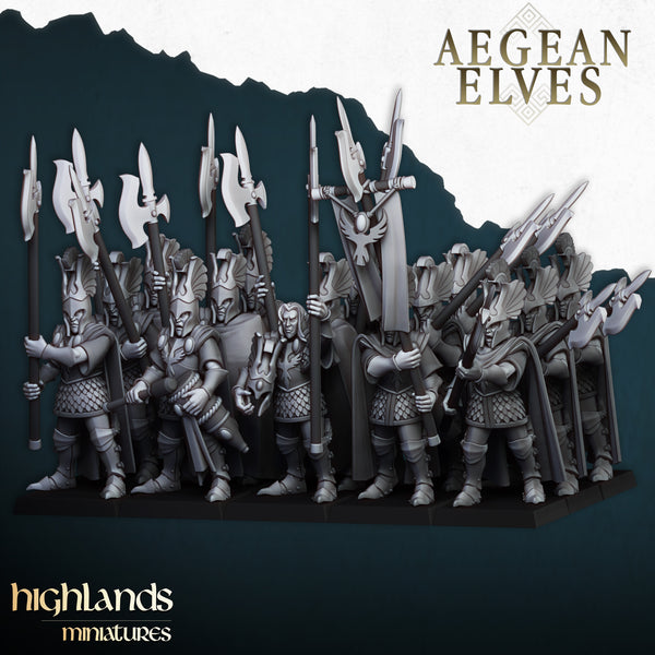 Aegis Guards