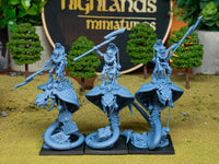 Chevaucheurs de Cobra