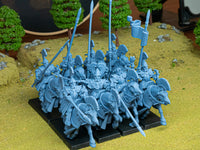 Cavaliers Aegis