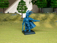 Capitaine du Sunland