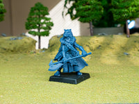 Druide du Mergenheim