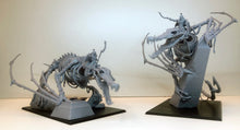 Load image into Gallery viewer, Tomb King on Dragon Sobek

