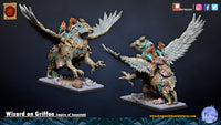 Sorcier sur Griffon