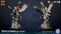Sorcier sur Pégase