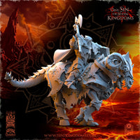 Chevaliers élus de Mayhem