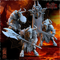 Minotaurs de Mayhem