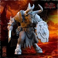 Minotaurs de Mayhem
