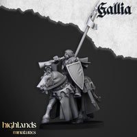 Chevaliers du Graal de Gallia