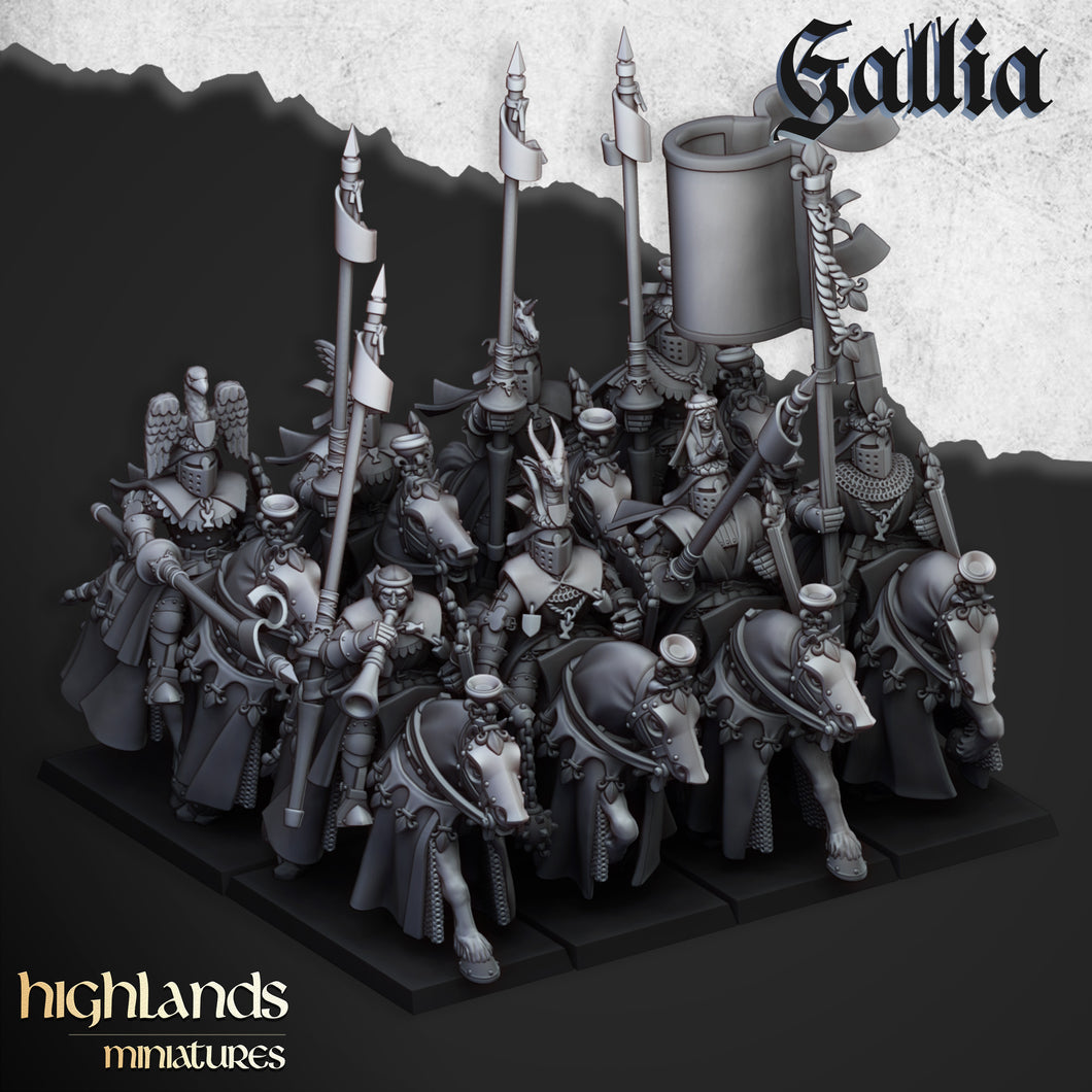 Chevaliers du Roy de Gallia