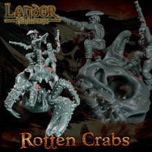 Load image into Gallery viewer, Crabes Pourrissants

