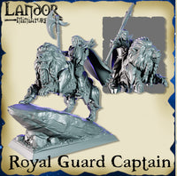 Capitaine de la garde sur Lion