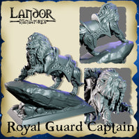 Capitaine de la garde sur Lion