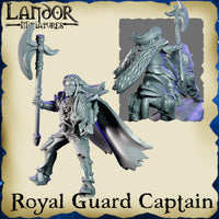 Capitaine de la garde sur Lion