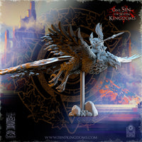 Prince Elfe sur Phenix de Gel