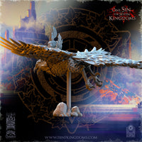 Prince Elfe sur Phenix de Gel