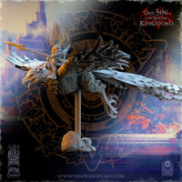 Prince Elfe sur Phenix de Gel