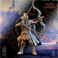 Stalkers du Lion elfes