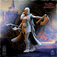 Stalkers du Lion elfes